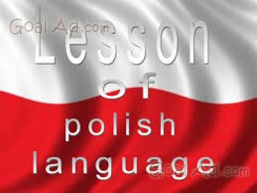 cerco dizionario polacco