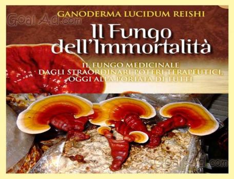 Trattamento di danni fungosi di ununghia
