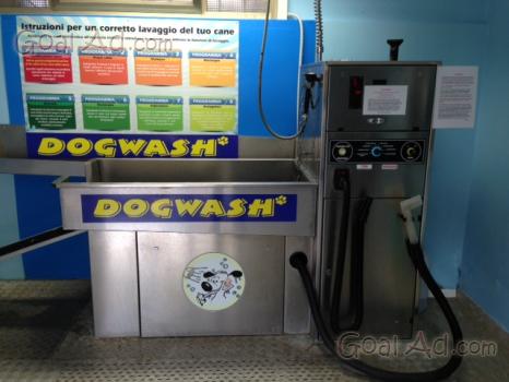 Self service lavaggio cani ighimac toelettatur. Cerca, compra, vendi nuovo  e usato: Vendo lavaggio self service cani gatti