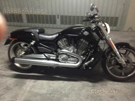Borse harley v rod vendo laterali vrod. Cerca, compra, vendi nuovo e usato:  HARLEY V-ROD nuova